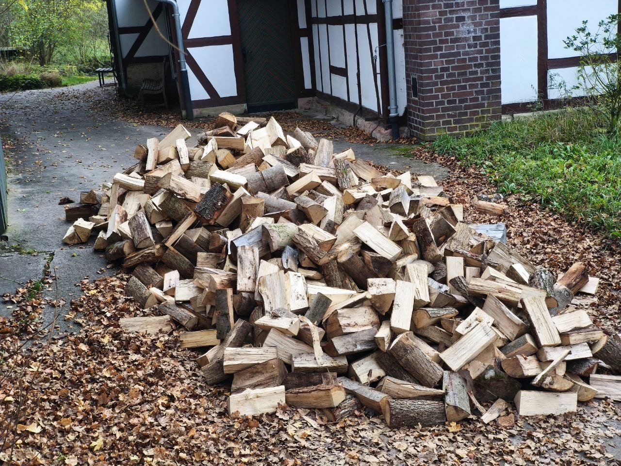 Brennholz von Brennholz Buddy
